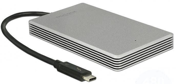 DeLock External Thunderbolt SSD 480GB