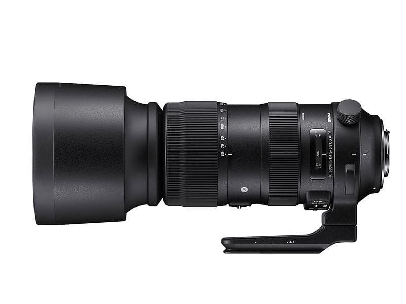 Sigma 60-600/4.5-6.3 DG OS HSM Sports for Nikon