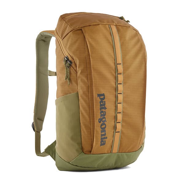 Patagonia Black Hole Pack 25L