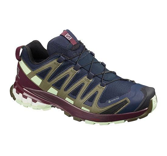 Salomon XA Pro 3D V8 GTX (Dame)