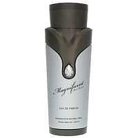 Armaf Magnificent Pour Homme edp 100ml