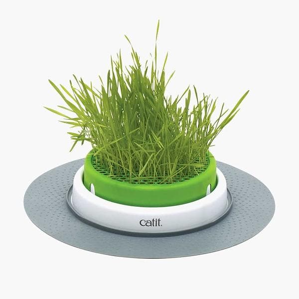 Cat It Senses 2.0 Grass Planter