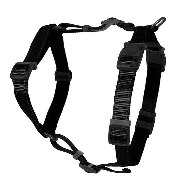 Dogman Iris H-Harness 10mm XS