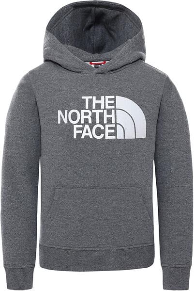 The North Face Drew Peak Hoodie (Jr)