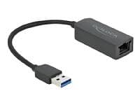 DeLock USB Type-A to 2.5 Gigabit LAN Adapter (66646)