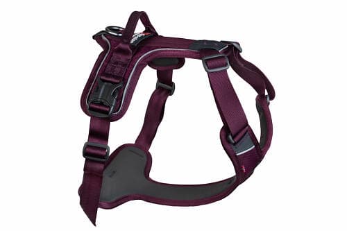 Non-Stop Dogwear Ramble Harness XS