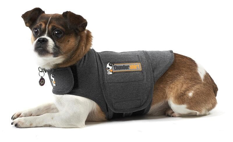 Thundershirt XS (4-6kg)