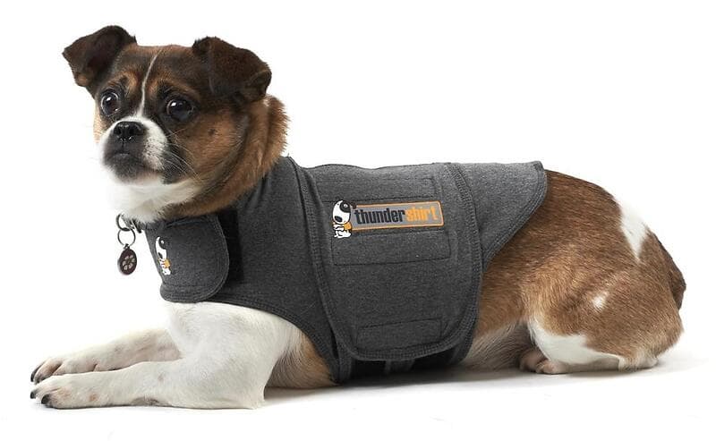 Thundershirt S (7-11kg)