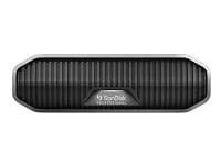 SanDisk Professional G-DRIVE Enterprise Class 6TB