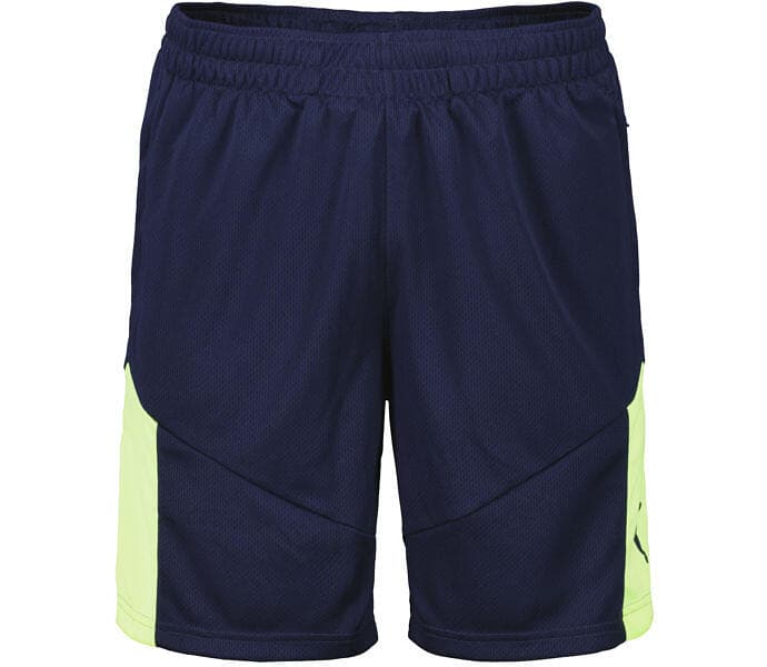 Puma individualFINAL Shorts (Herre)