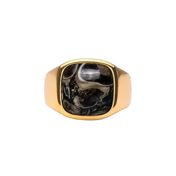 IX Studios Turtle Agate Signet Ring 22 kt. Forgyldt DMN0282GDTA-54 (ring) Unisex