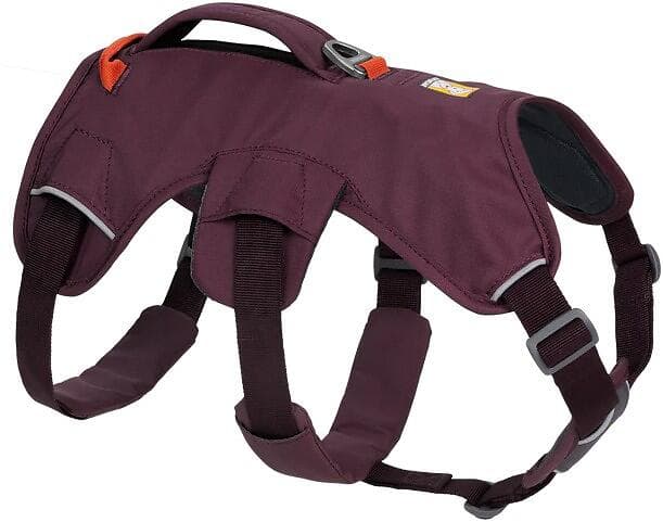 Ruffwear Web Master Harness Purple Rain (S)