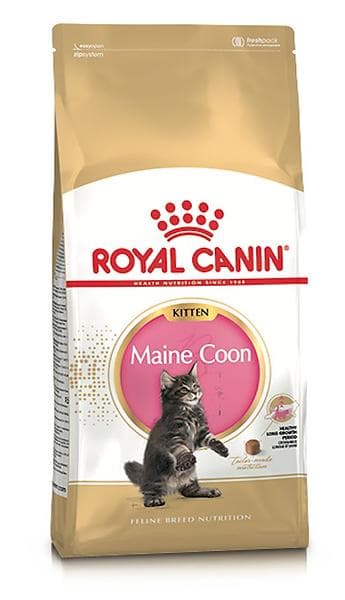 Royal Canin Breed Maine Coon 36 Kitten 4kg